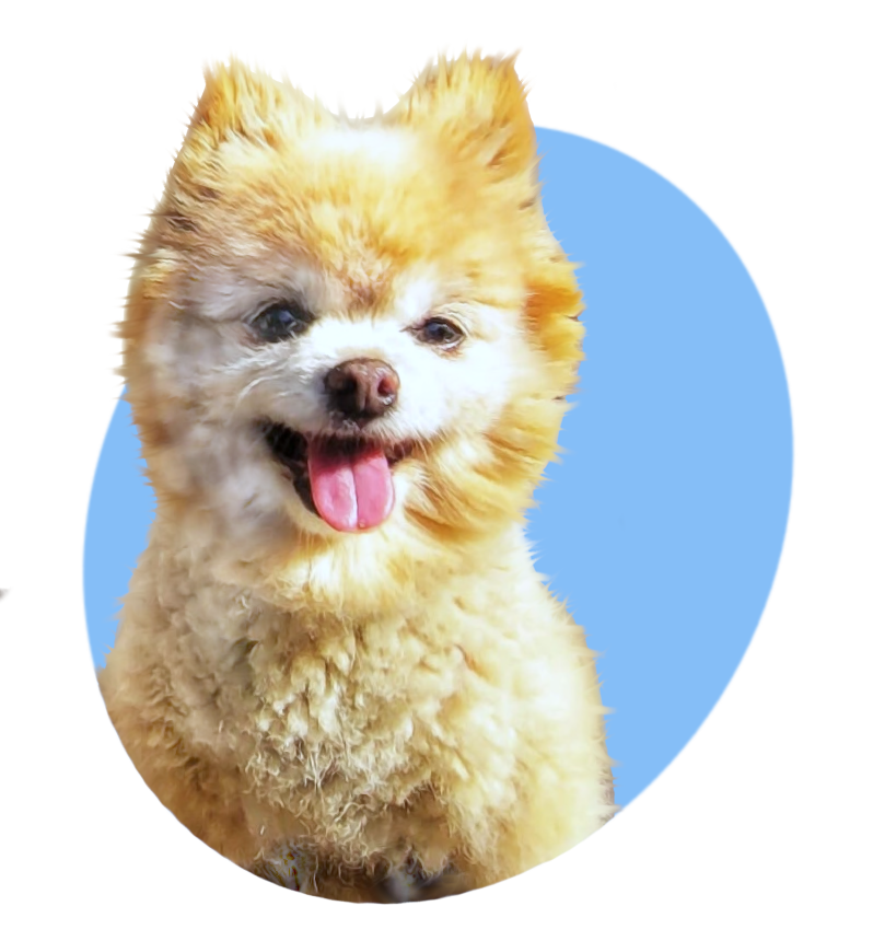 Picture of the author