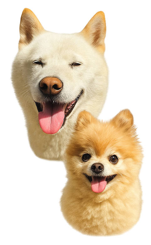 Picture of the author