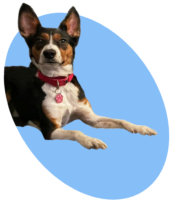 Picture of the author